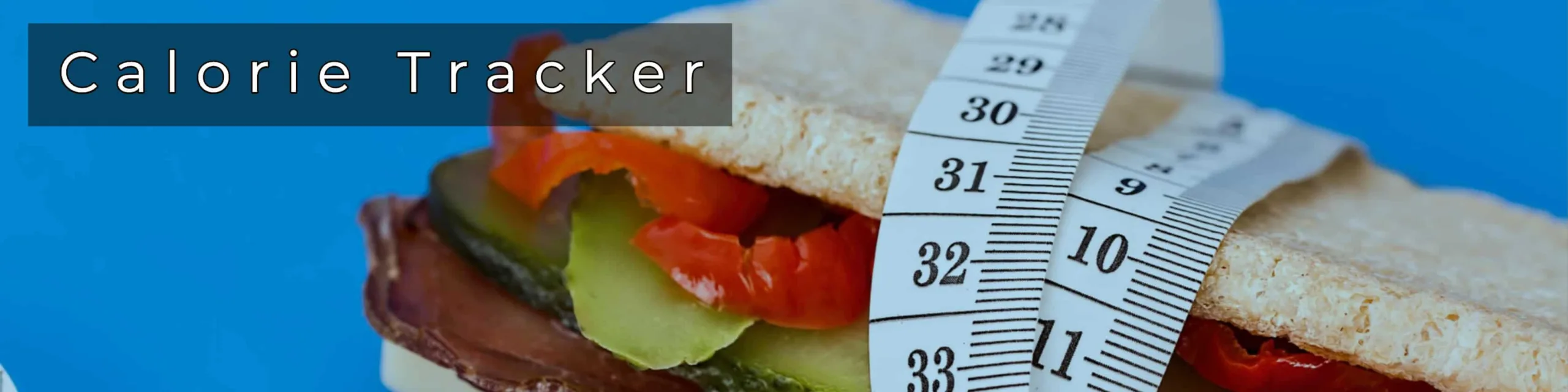 calorie tracker app