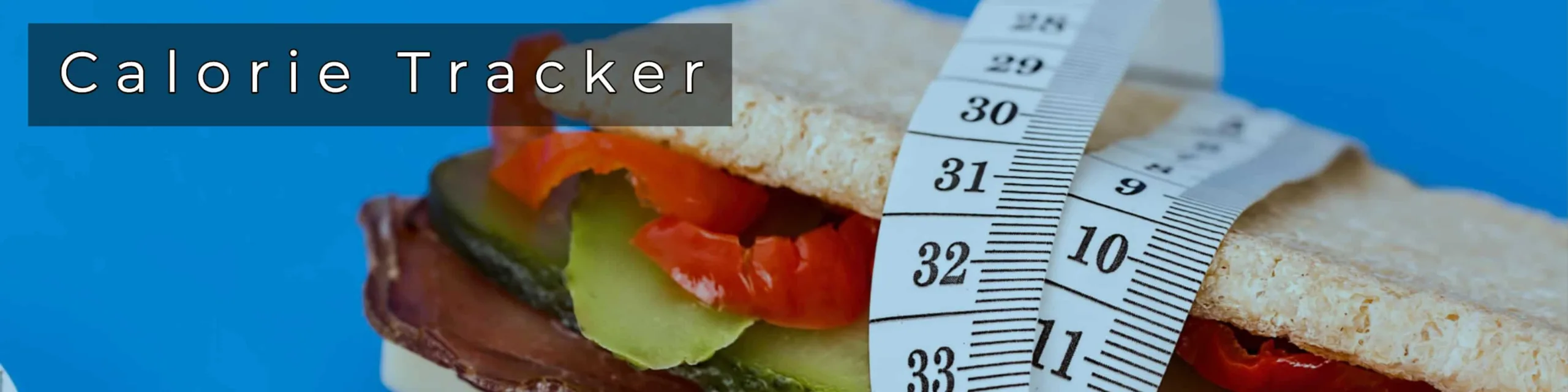 best online calorie tracker free