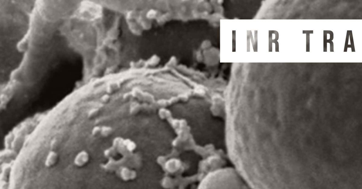 INR Tracking App to Track Your INR & Vitamin K