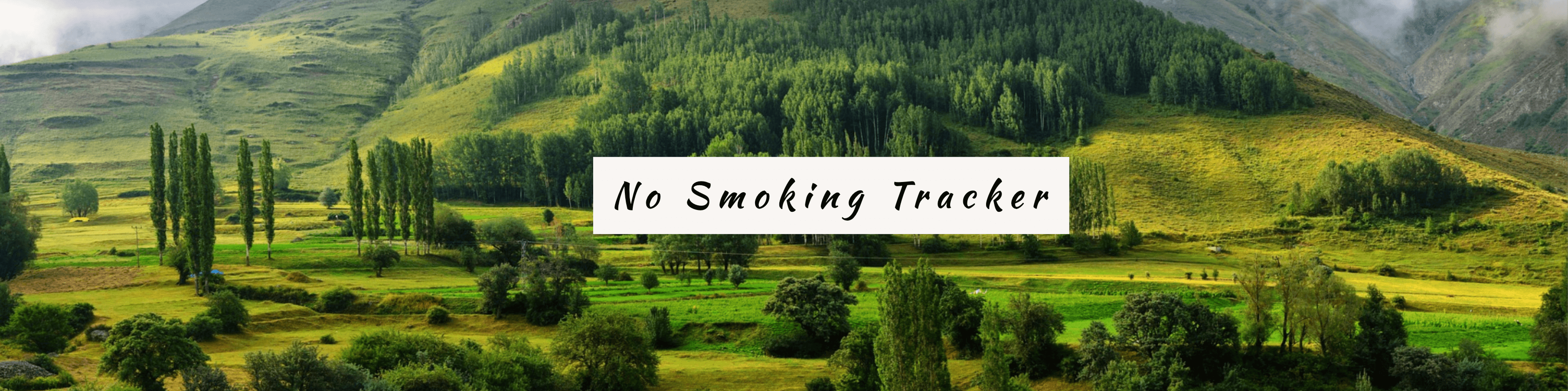 No Smoking Tracker