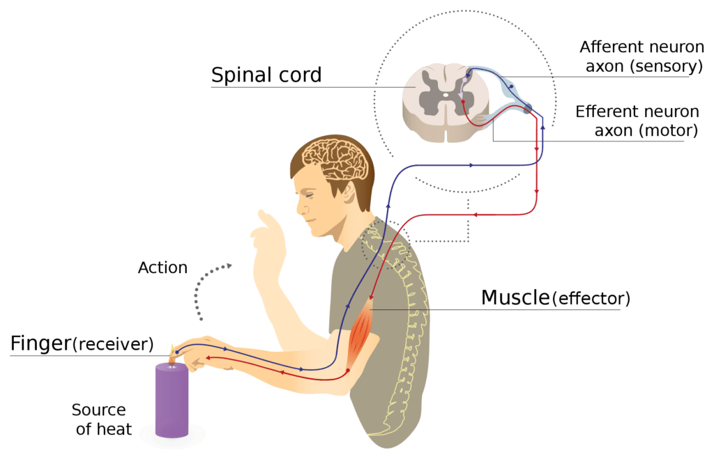 pain management techniques example