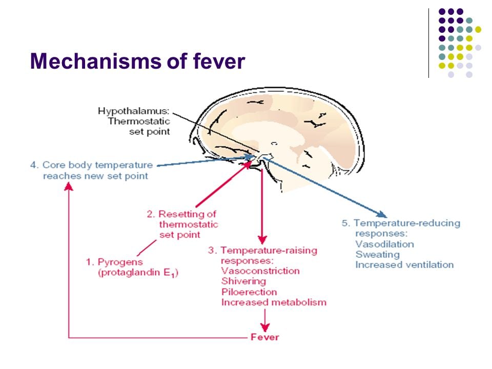 fever tracker