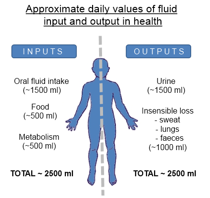 Tracking fluid composition