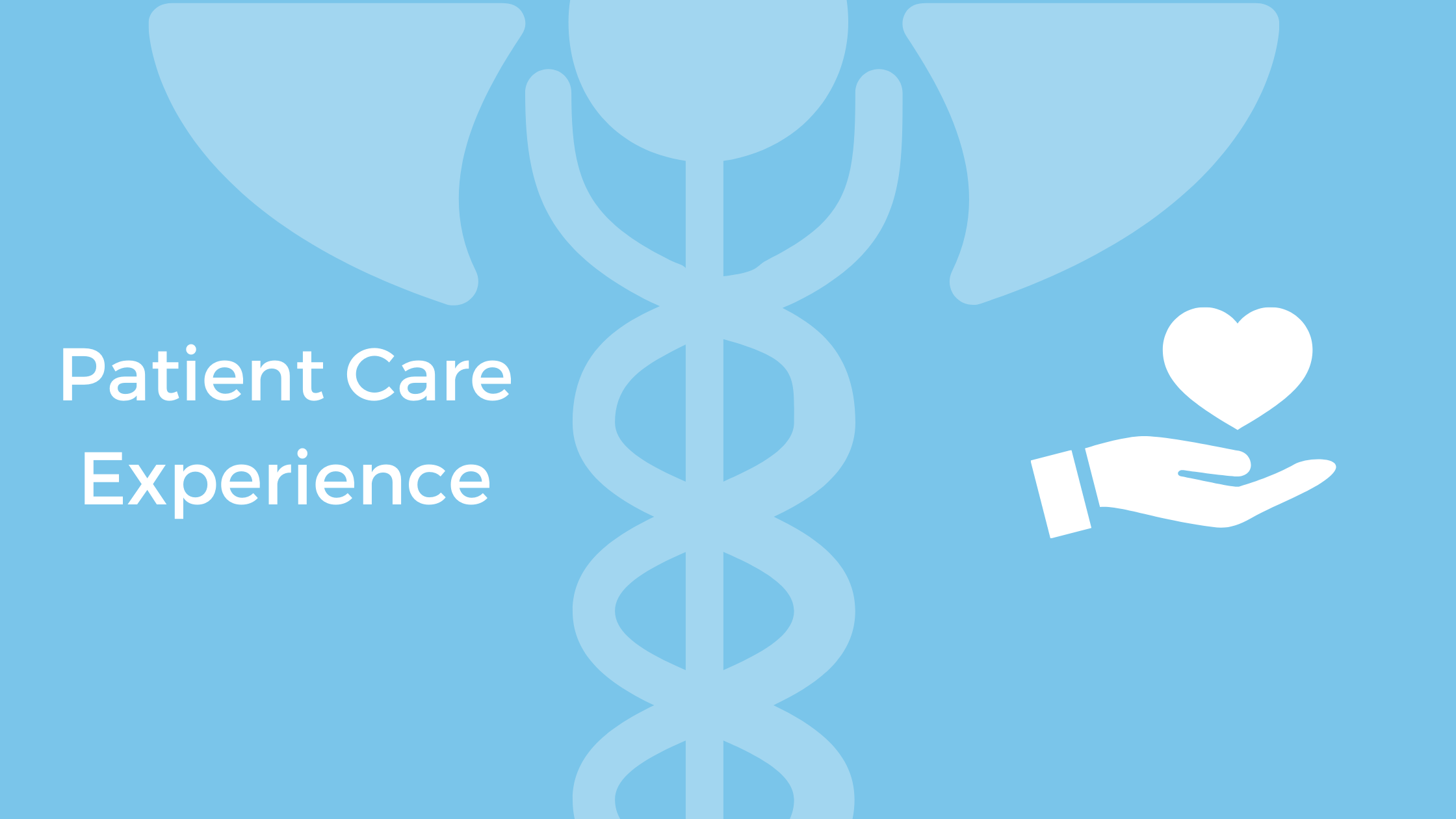 The Patient Care Experience: Cognitive Biases in Healthcare