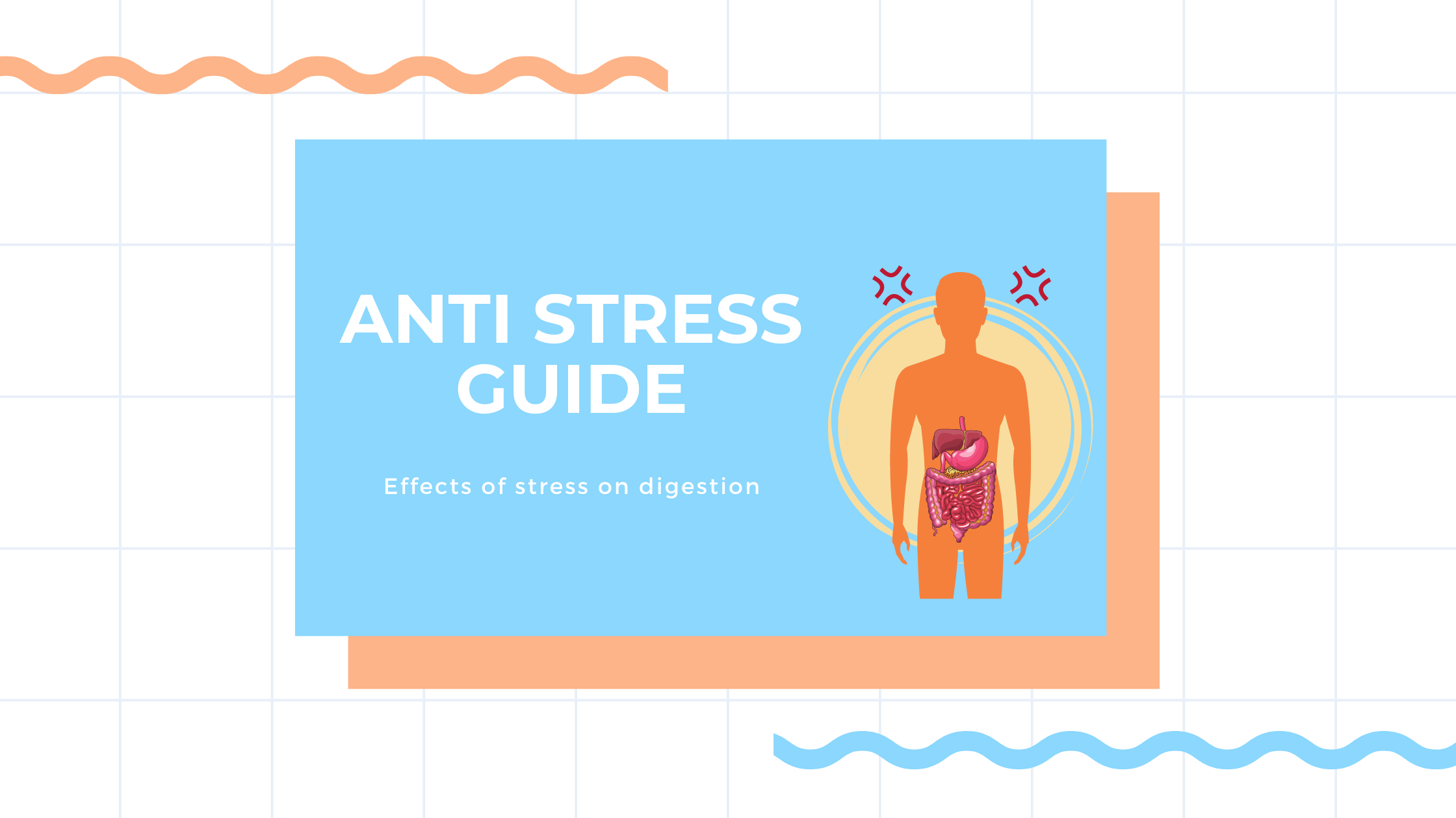 Stress and Digestion
