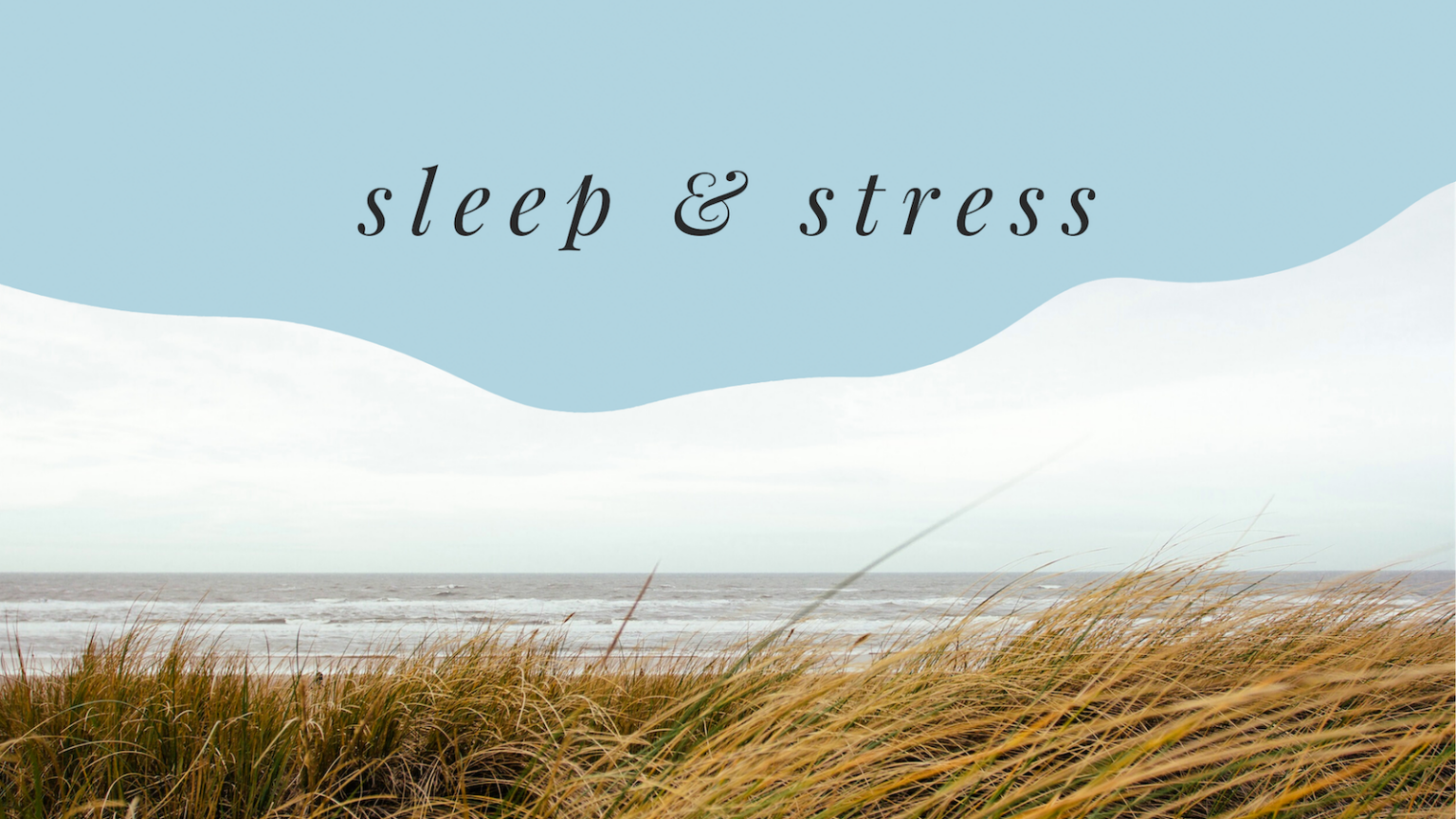 Sleep Apnea Stress How Does Stress Affect Sleep 