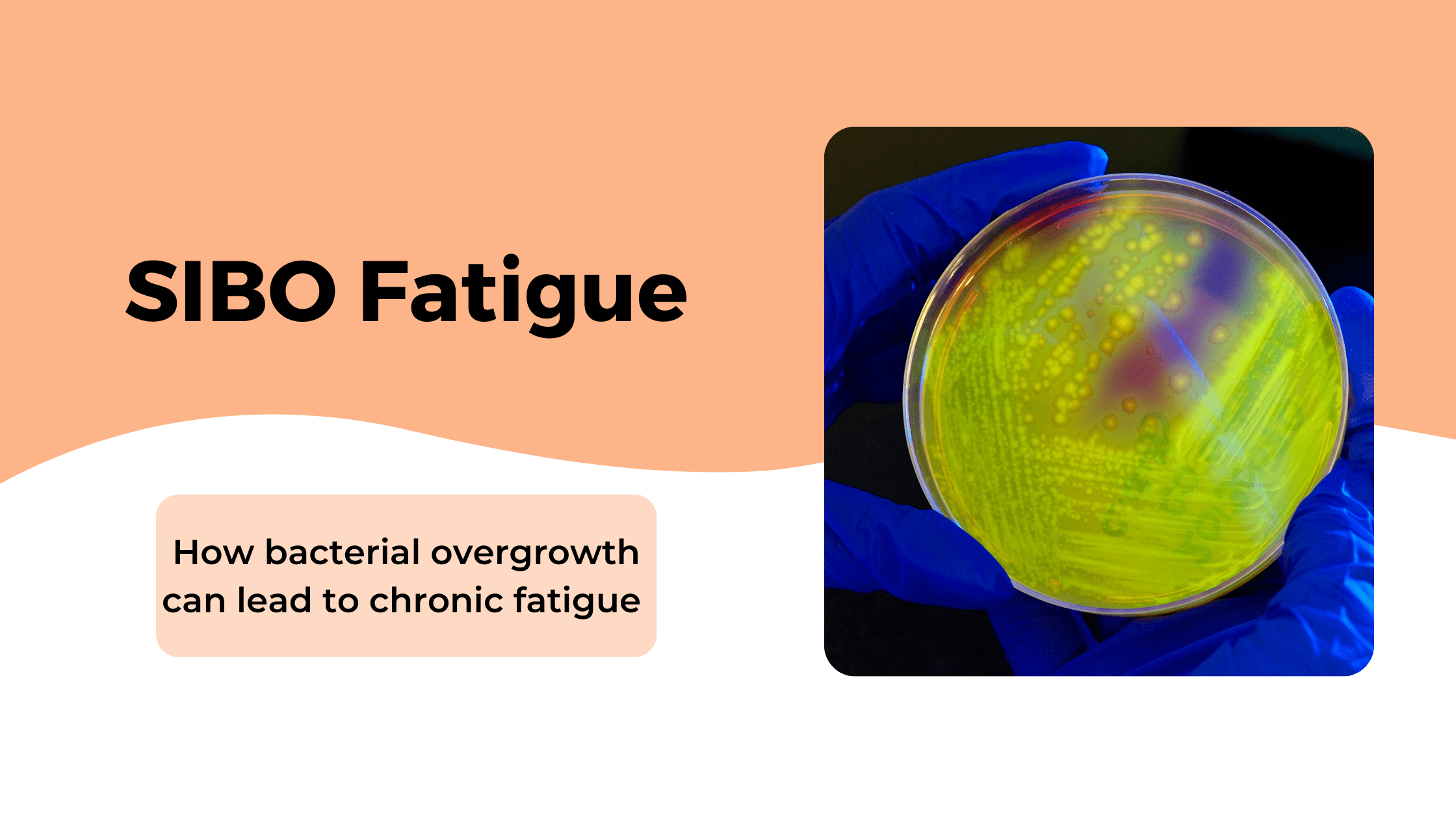 The Role of SIBO in Chronic Fatigue