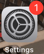 iOS Settings Icon