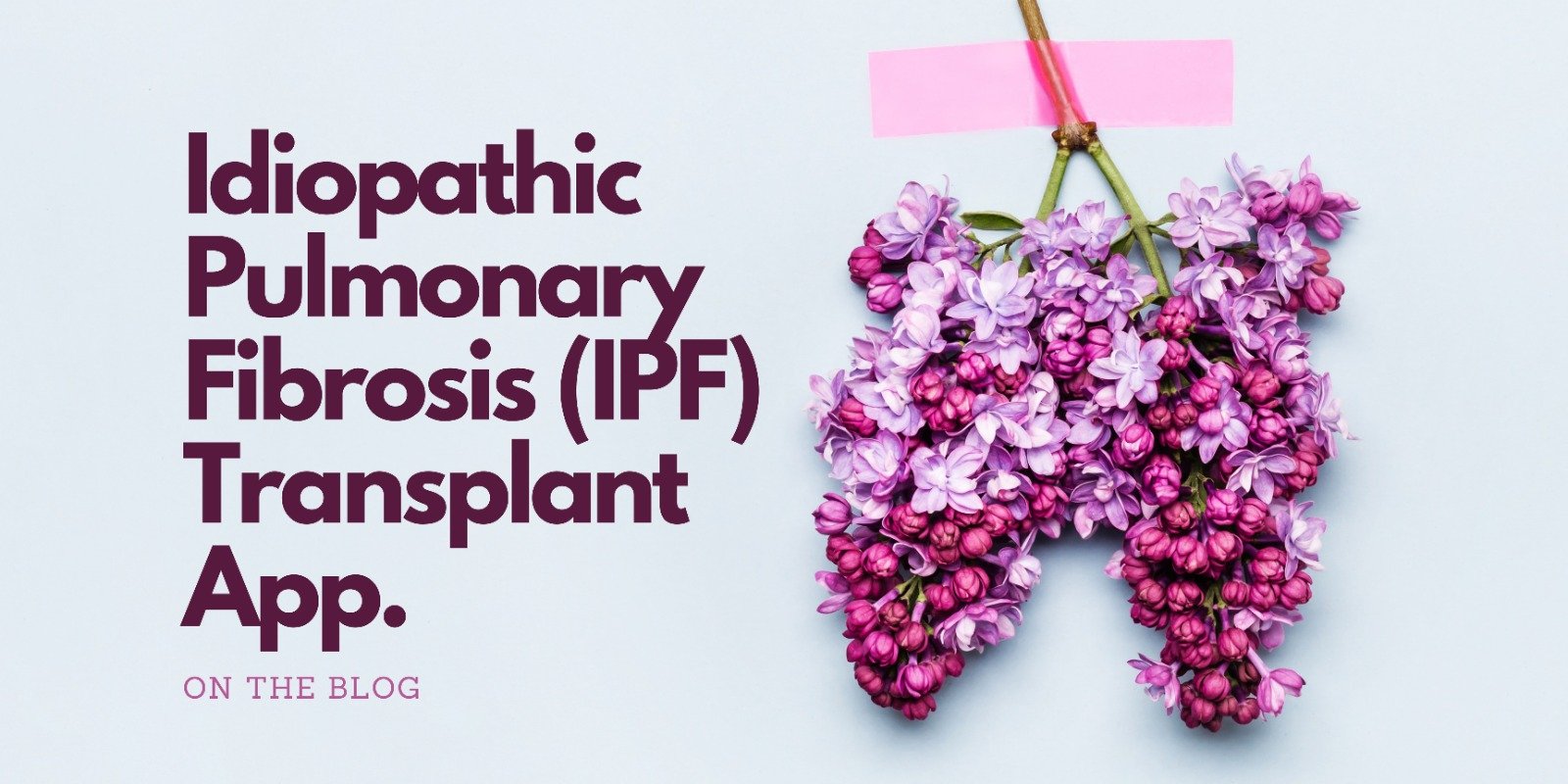 Idiopathic Pulmonary Fibrosis (IPF) Transplant App