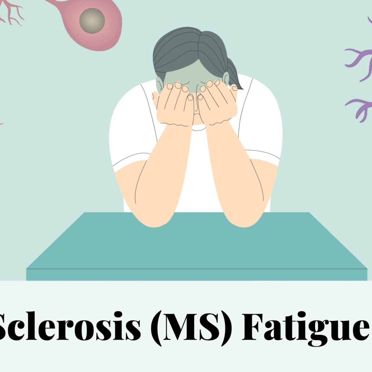 MS Fatigue Management