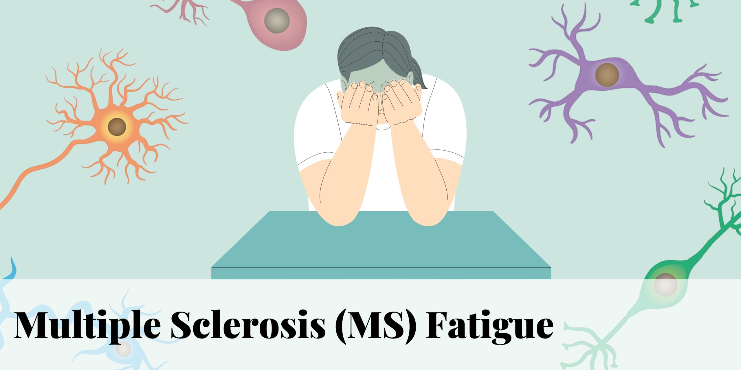 What Are The Symptoms Of Ms