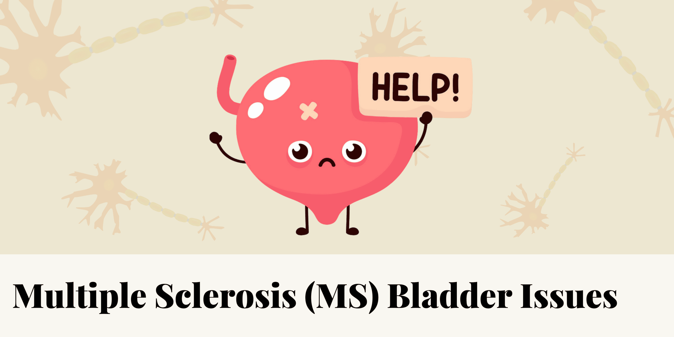 ms-bladder-issues