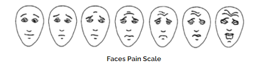 Pain Scale Faces