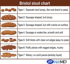 ibs stool shape