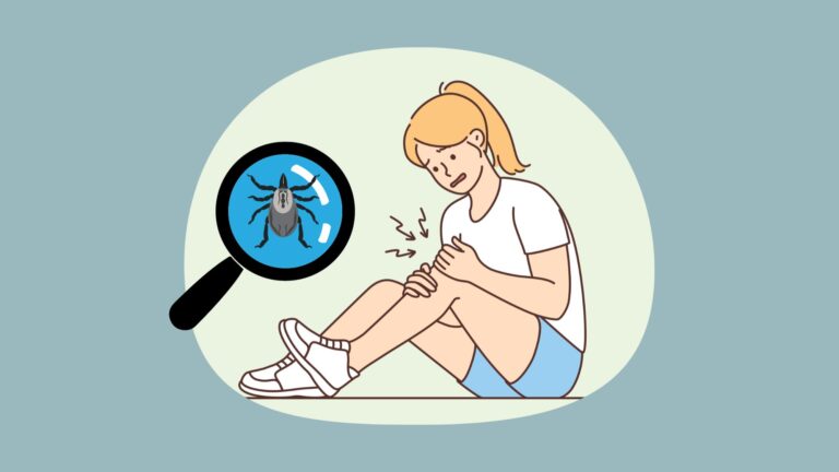 lyme disease joint pain
