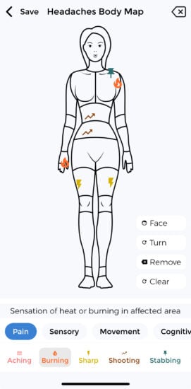 body-map body-map